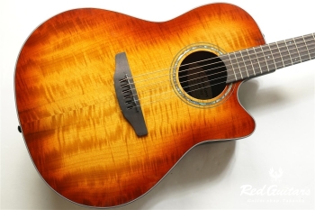 The Celebrity Collection 2022 CS24P FMYR-G